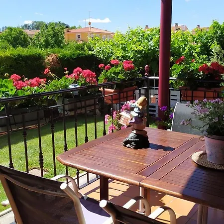 Cuarenta Y Ocho Luces Burgo